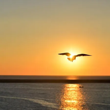 Ap Ultraspatios - Nazli - 4 Vis-a-vis Lidl Apartmán