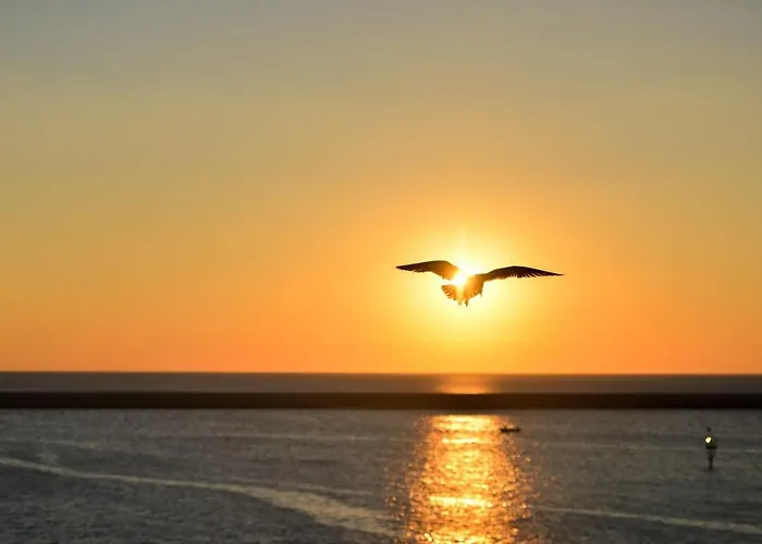 Ap Ultraspatios - Nazli - 4 Vis-a-vis Lidl Apartment